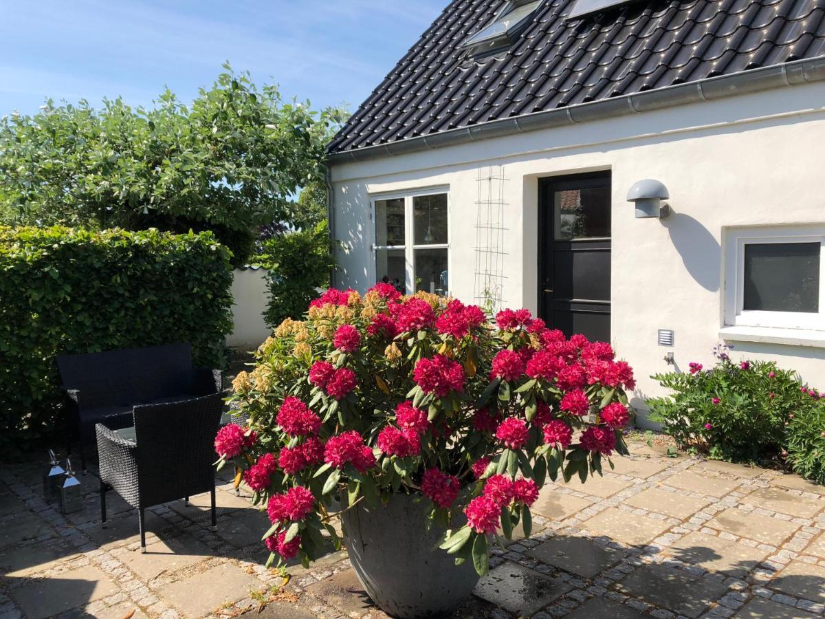 Helts B&B - Helts Guesthouse Herning Esterno foto