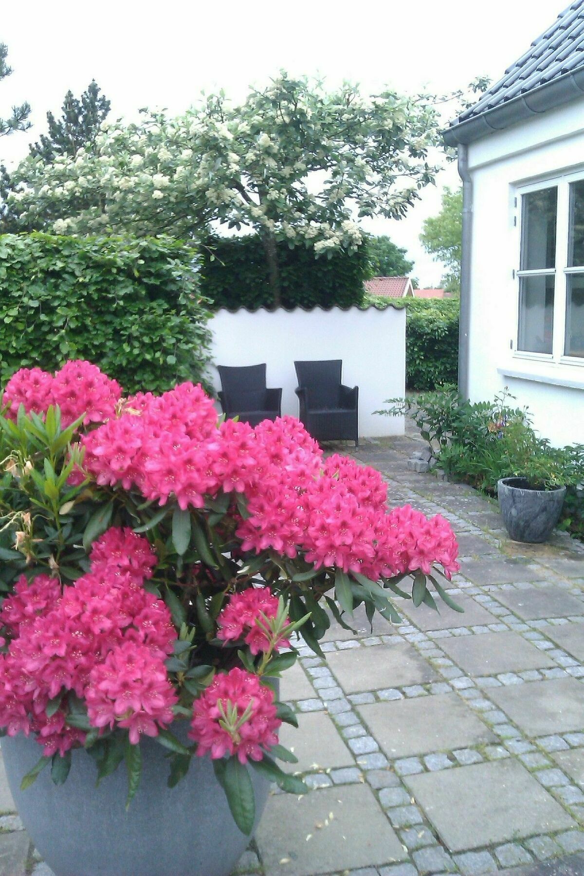 Helts B&B - Helts Guesthouse Herning Esterno foto